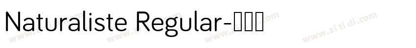 Naturaliste Regular字体转换